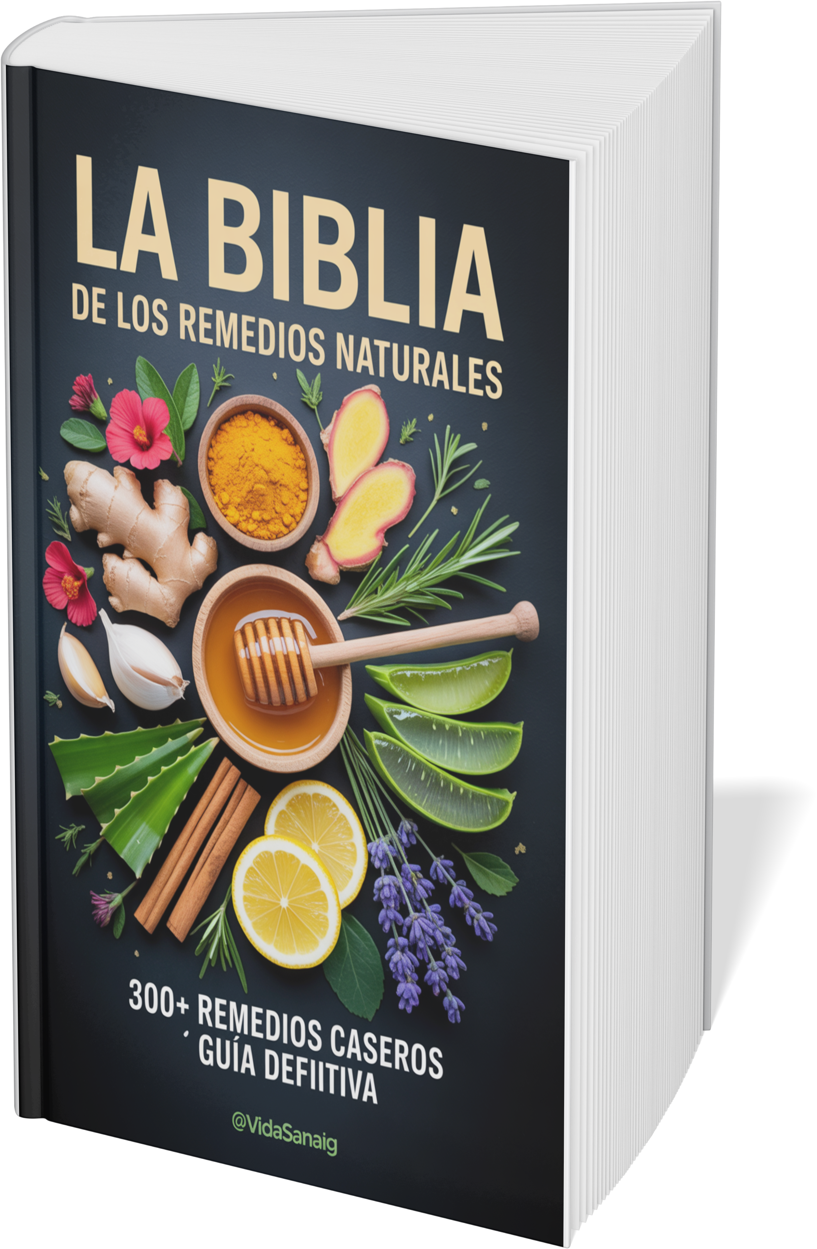 La Biblia de los Remedios Naturales
